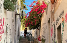 Soul Dreamers Cultural Tours9