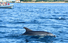 escursì7