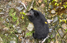 Kawanti Adventures12