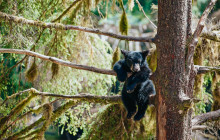 Kawanti Adventures13