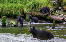 Kawanti Adventures15