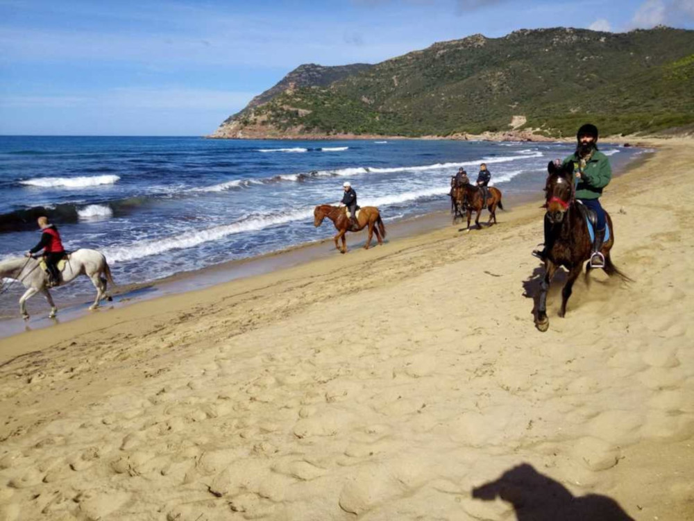 Alghero: Horseback Ride in Porto Ferro and Lake Baratz