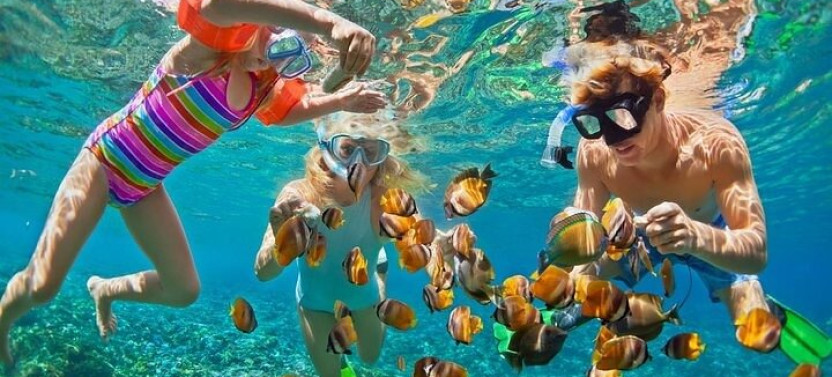 Snorkeling Tour In Punta Cana With Natural Pool And Open Bar