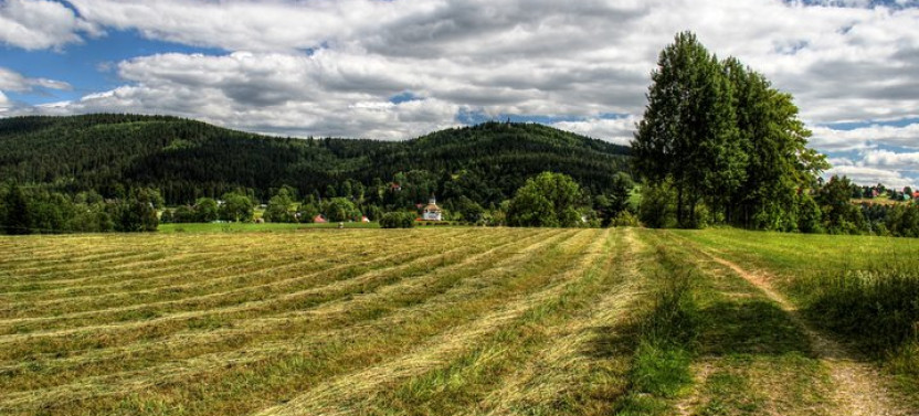 Private Transfer from Vienna to Prague with Door-to-Door Service