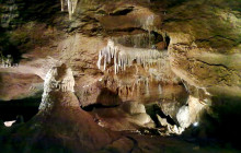 Real Prague Tours3