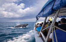 BoatTripsClub1