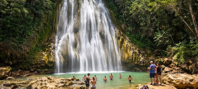 Samana Whale Watching Tour, Limón Waterfall & Cayo Levantado