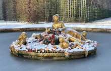KINGTOURS5
