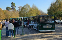 KINGTOURS13
