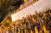 Discova Day Tours and Activities5