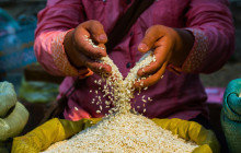 Discova Day Tours and Activities9