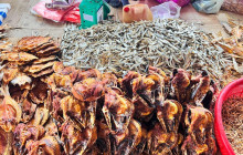 Discova Day Tours and Activities11