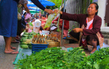 Discova Day Tours and Activities13