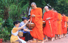 Discova Day Tours and Activities16