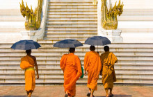 Discova Day Tours and Activities10