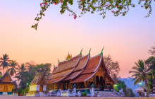 Discova Day Tours and Activities4