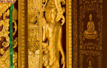 Discova Day Tours and Activities5