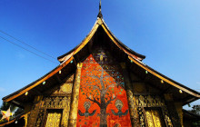 Discova Day Tours and Activities9