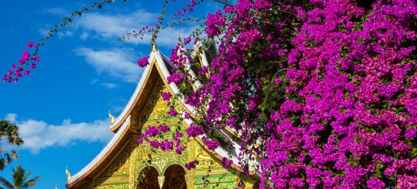 Luang Prabang Cultural Discovery and Cruise to Pak Ou Caves Private Tour