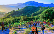 Discova Day Tours and Activities5
