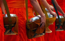 Discova Day Tours and Activities5