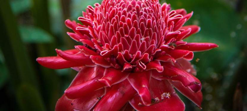 Luang Prabang: Kuangsy waterfall, Sunbear Refuge & Local Craft Private