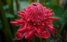 Discova Day Tours and Activities3