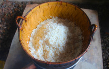 Discova Day Tours and Activities4