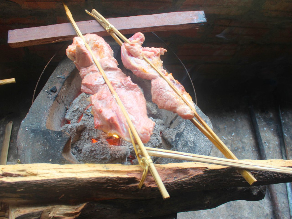 Discova Day Tours and Activities