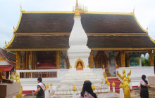 Discova Day Tours and Activities10