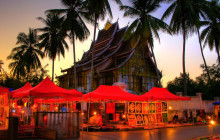 Discova Day Tours and Activities5