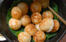 Discova Day Tours and Activities5