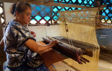 Discova Day Tours and Activities9