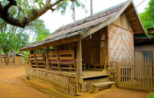 Discova Day Tours and Activities11