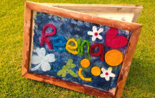 Discova Day Tours and Activities4