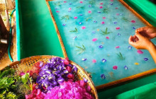 Discova Day Tours and Activities5