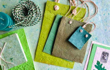 Discova Day Tours and Activities9