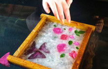 Discova Day Tours and Activities10