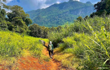 Discova Day Tours and Activities2