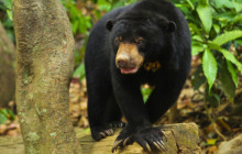 Discova Day Tours and Activities3