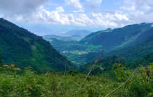 Discova Day Tours and Activities5