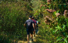 Discova Day Tours and Activities6