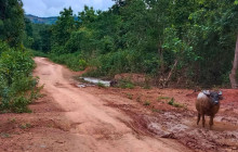 Discova Day Tours and Activities12