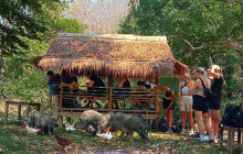 Discova Day Tours and Activities15