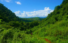 Discova Day Tours and Activities16