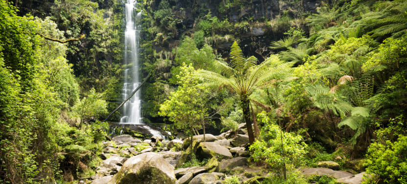 Australia’s Great Ocean Road: Self-Guided Driving Audio Tour