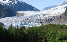 Juneau Tours and Whale Watch5