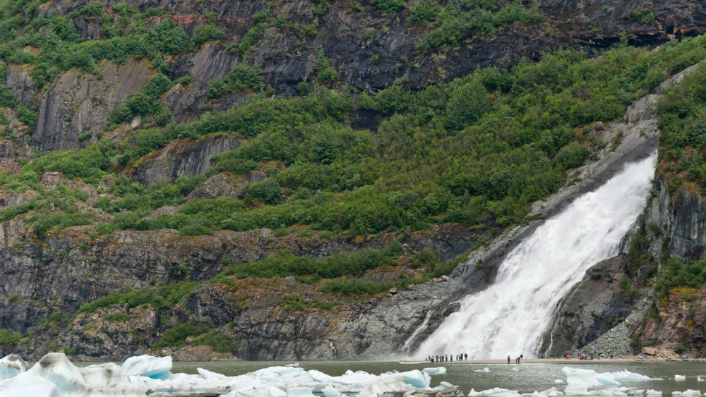 Juneau Tours and Whale Watch