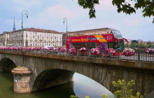 Sightseeing Experience1