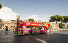 Sightseeing Experience5